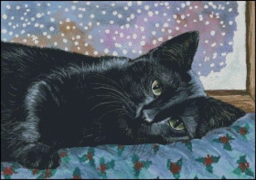 (image for) Christmas Black Cat